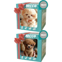 NICOO – My Playful Robot Pup🌈 🐶🐶