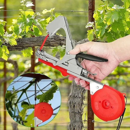 Plant Tying Machine - AxenBox
