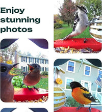 Smart Hummingbird Feeder Camera & Bird Bath - AxenBox