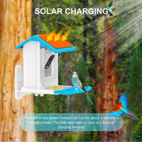 Smart Hummingbird Feeder Camera & Bird Bath - AxenBox