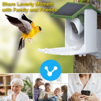 Smart Hummingbird Feeder Camera & Bird Bath - AxenBox