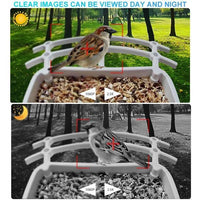 Smart Hummingbird Feeder Camera & Bird Bath - AxenBox