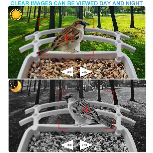 Smart Hummingbird Feeder Camera & Bird Bath - AxenBox