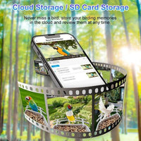 Smart Hummingbird Feeder Camera & Bird Bath - AxenBox