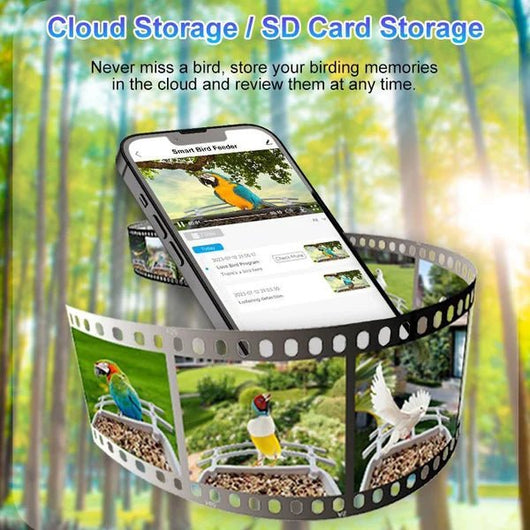 Smart Hummingbird Feeder Camera & Bird Bath - AxenBox