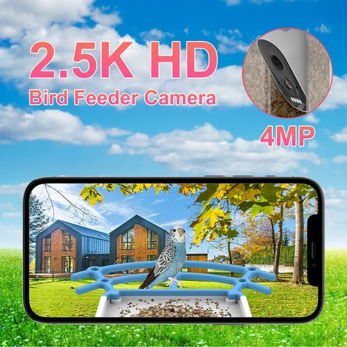 Smart Hummingbird Feeder Camera & Bird Bath