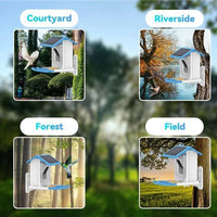 Smart Hummingbird Feeder Camera & Bird Bath - AxenBox