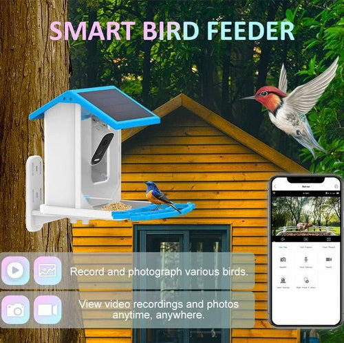 Smart Hummingbird Feeder Camera & Bird Bath