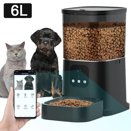 Smart WiFi Cat Feeder with Camera & Audio – 6L - AxenBox
